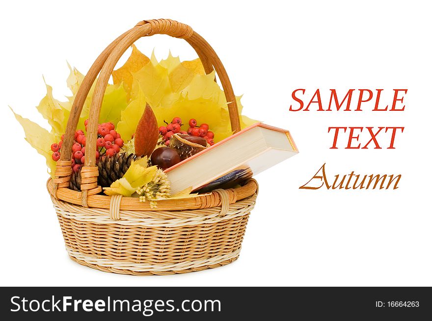 Autumn leaves and fruits isolated on white background