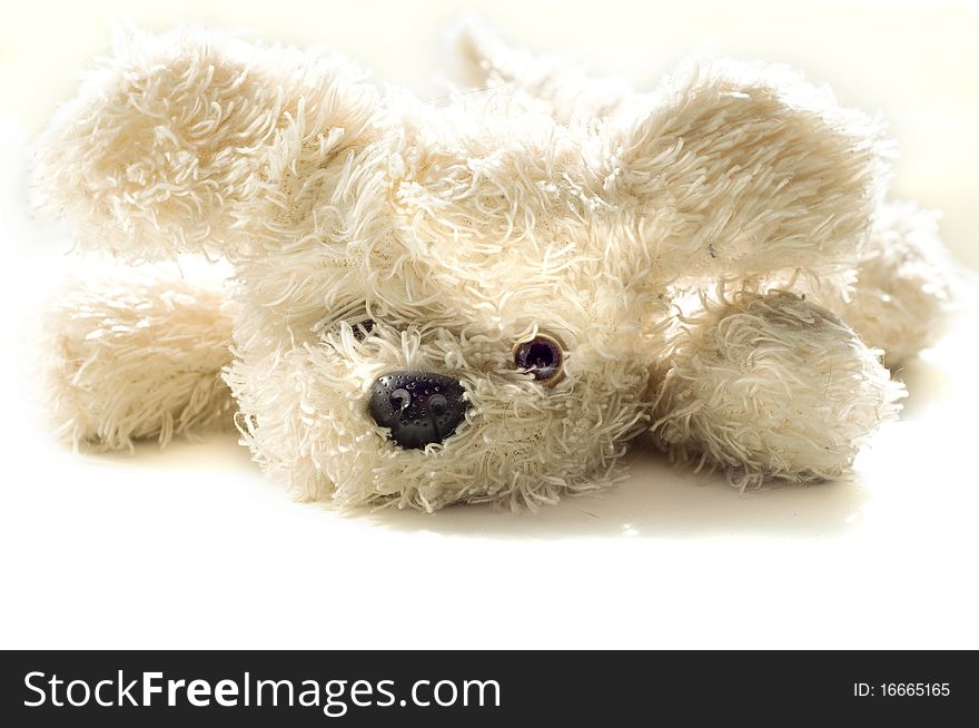 Toy a shaggy dog on a white background. Toy a shaggy dog on a white background