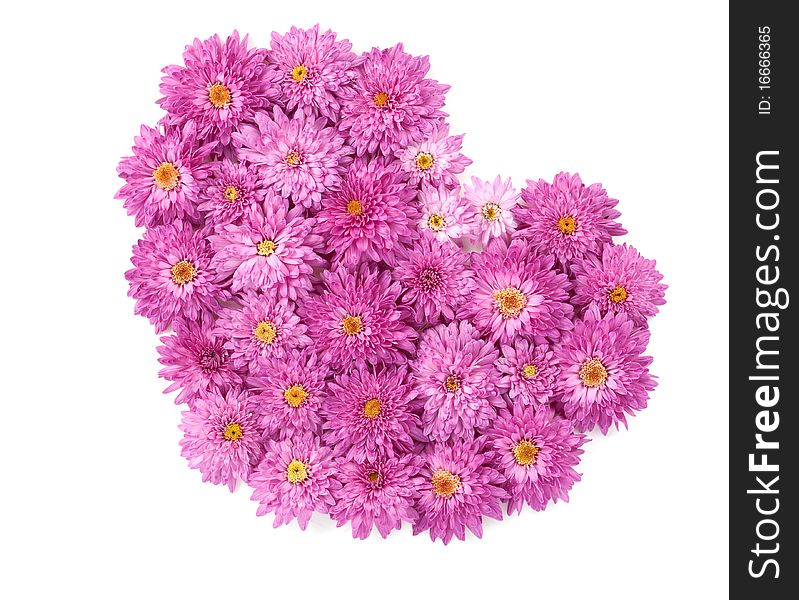 Heart from chrysanthemum flowers on a white background