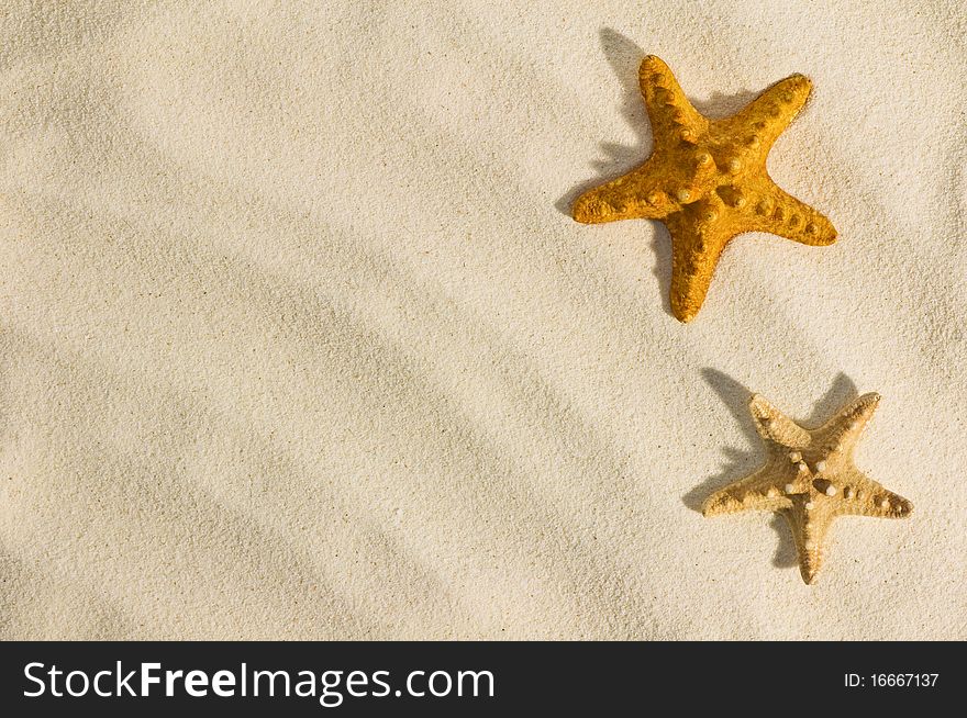 Red starfish on sand close up