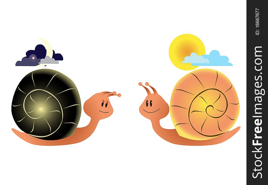 Night snail and day snail