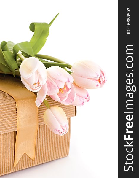 Box of gift and pink tulips. Box of gift and pink tulips