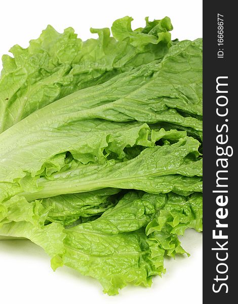 Fresh lettuce