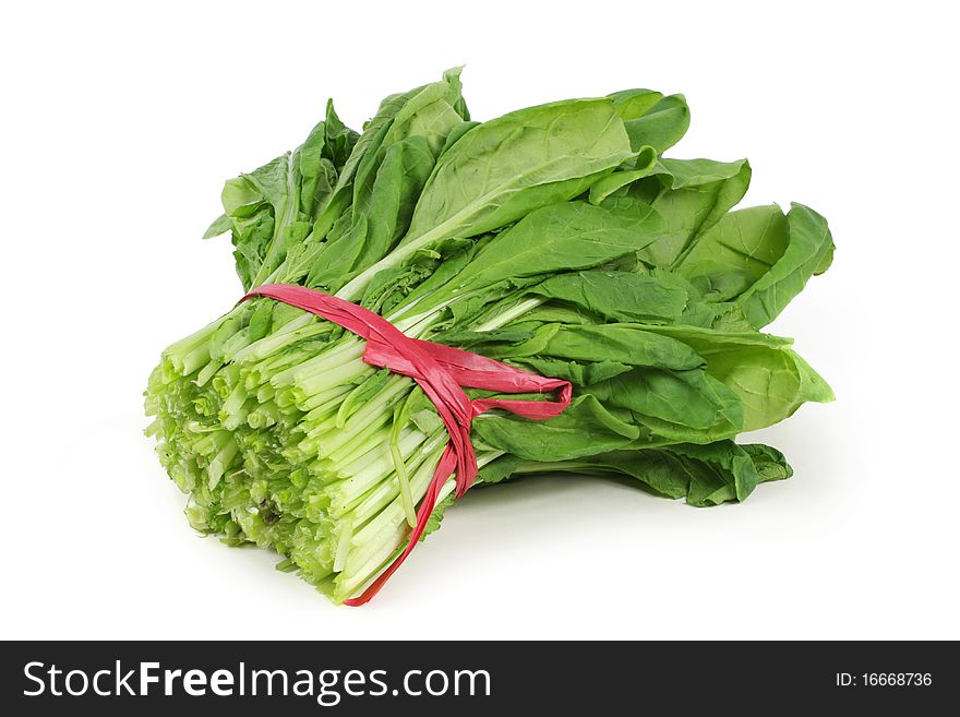 Green chinese cabbage on white background