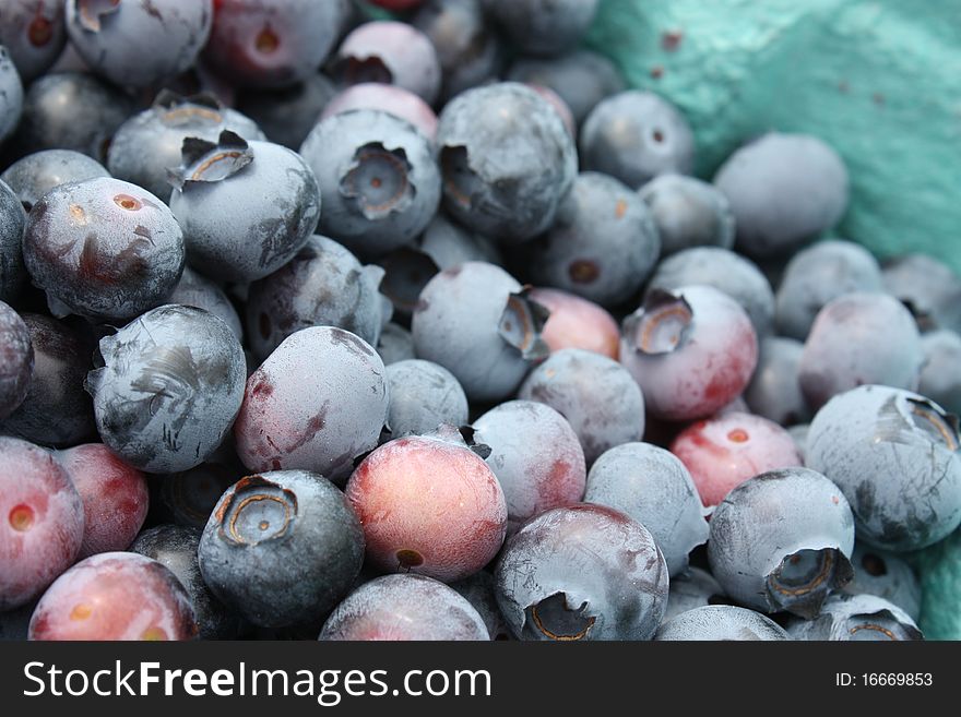 Fresh picked blueberries in Media, Pennsylvania. Fresh picked blueberries in Media, Pennsylvania