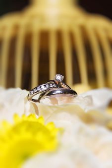 Wedding Rings On Flowers With Bird Cage Royalty Free Stock Photography Wedding Rings On Flowers With Bird Cage Royalty Free Stock Photography