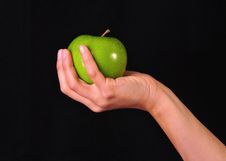 Female Hand Holding A Green Apple Royalty Free Stock Images Female Hand Holding A Green Apple Royalty Free Stock Images