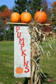 Pumpkins With Sign Stock Image Pumpkins With Sign Stock Image