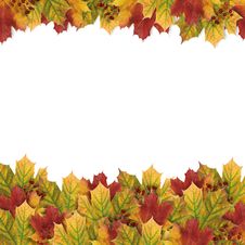 Autumn Card With Autumn Leaves Stock Images Autumn Card With Autumn Leaves Stock Images