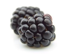 Blackberry Stock Photo Blackberry Stock Photo