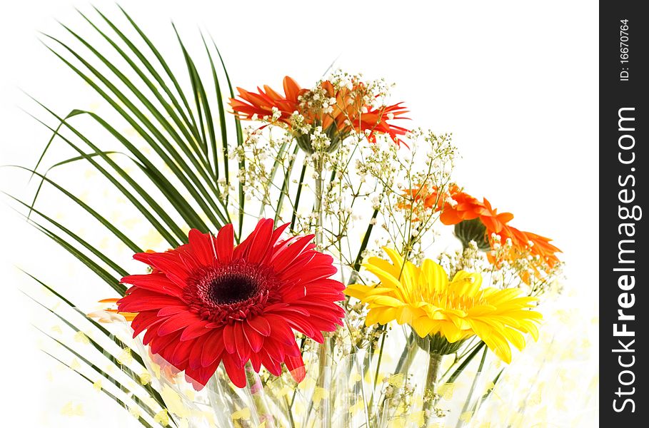 Red flower in a bouquet, a blurry, white background