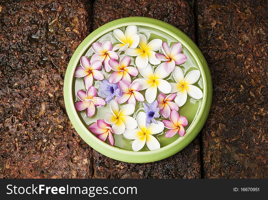 Various kind of Flowers floating on the water with aroma oil in ceramic bowl . Various kind of Flowers floating on the water with aroma oil in ceramic bowl .