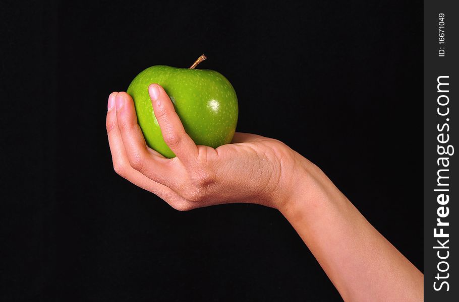 A female hand holding in exhibition a green apple on a black background. A female hand holding in exhibition a green apple on a black background