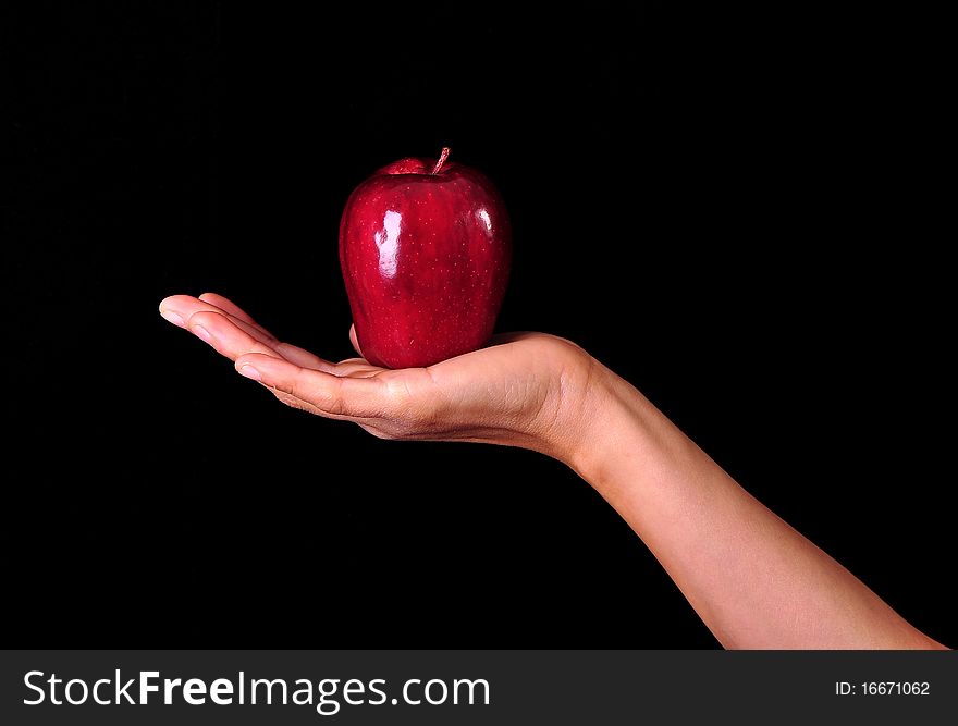 A female hand holding in exhibition a red apple on a black background. A female hand holding in exhibition a red apple on a black background