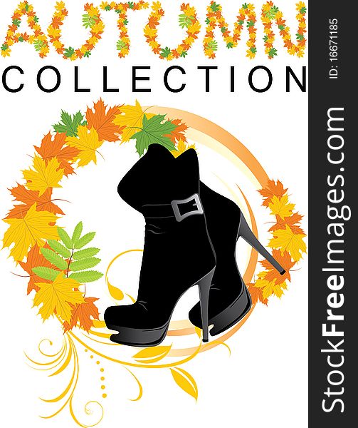 Elegant female shoes. Autumn collection. Illustration