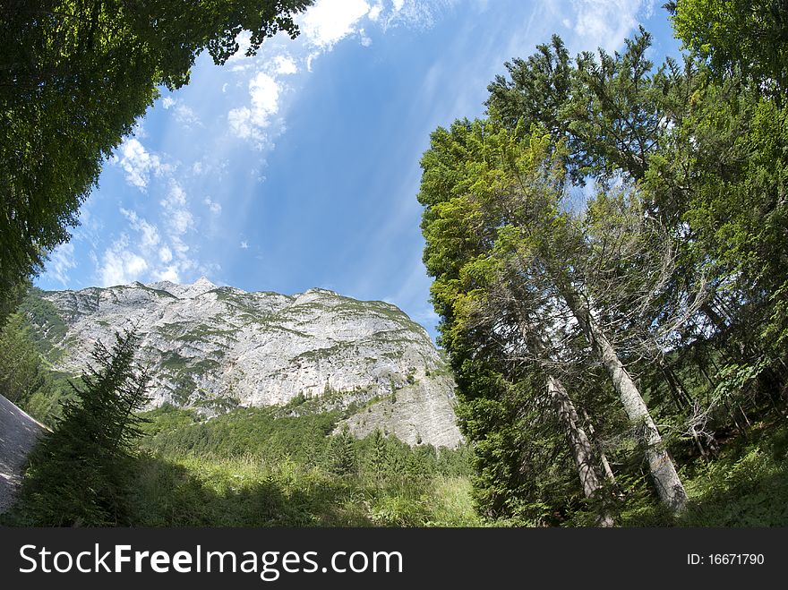 Colors of Dolomites Woods in Nothern Italy. Colors of Dolomites Woods in Nothern Italy