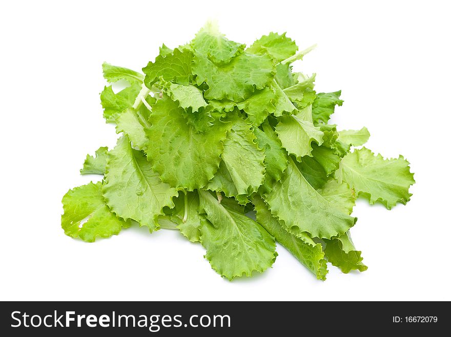 Fresh lettuce on white background