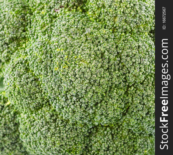 Detail shot of broccoli