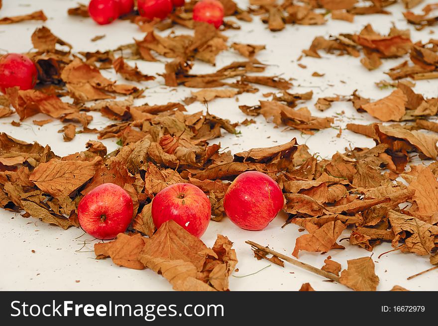 Red apples and old leafs. Studio shot.