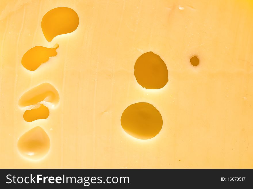 Close up of swiss cheese. Cheese background