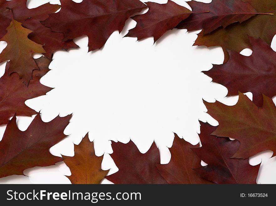 Frame made from northern red oak leaves with an empty space in the center