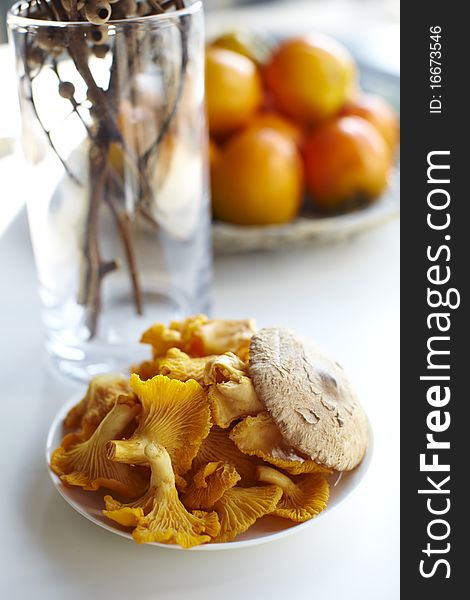 Fresh Golden Chanterelle wild mushrooms. Fresh Golden Chanterelle wild mushrooms.