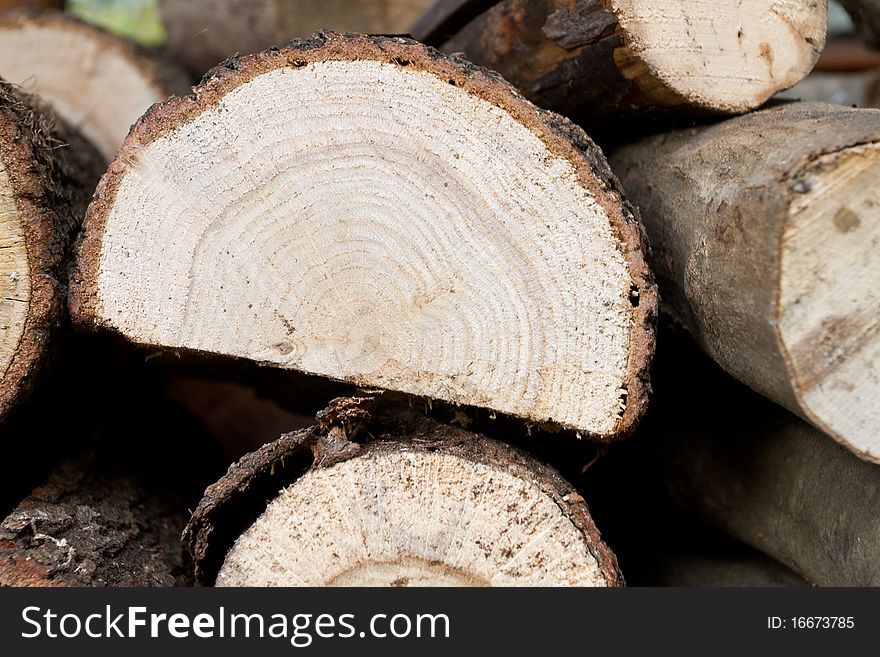 Stacked timber logs as a background. Stacked timber logs as a background