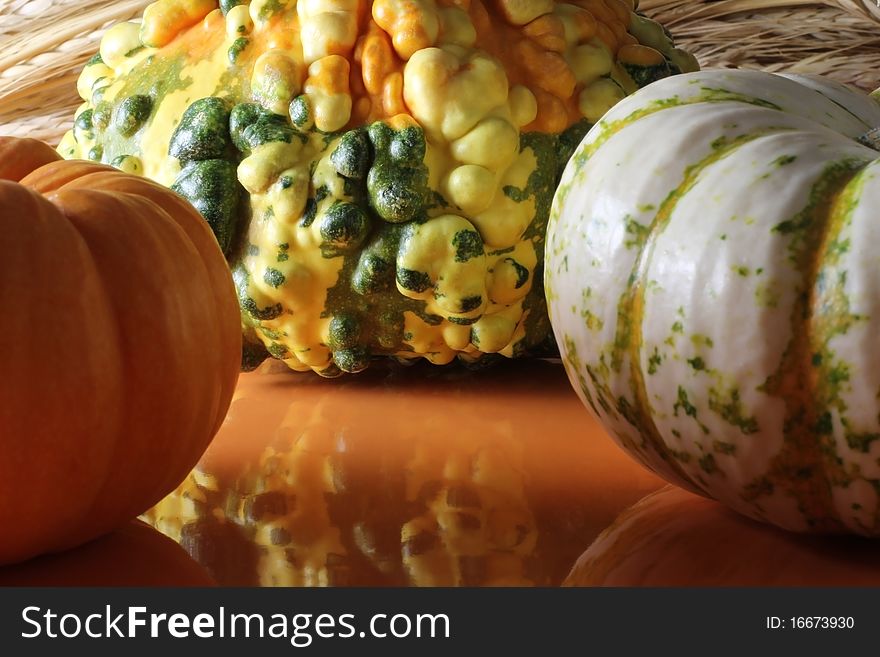 A gourd, a tiger pumpkin, and a mini-pumpkin on a pumpkin-colored ceramic dish. A gourd, a tiger pumpkin, and a mini-pumpkin on a pumpkin-colored ceramic dish.