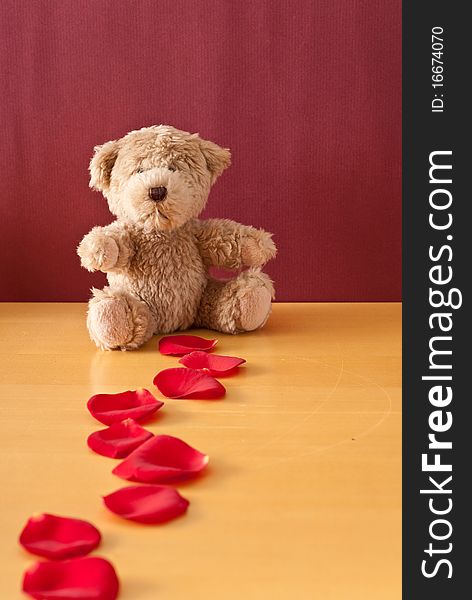 Trail of Rose Petals Leading to Cute Teddy Bear. Trail of Rose Petals Leading to Cute Teddy Bear