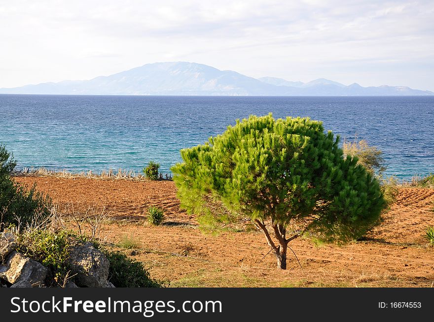 Beautiful coast of Zakynthos, Greek Island. Beautiful coast of Zakynthos, Greek Island