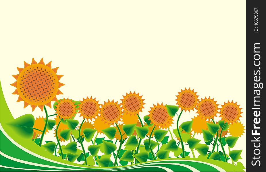 Pattern of flowers of sunflower on the yellow background. Pattern of flowers of sunflower on the yellow background
