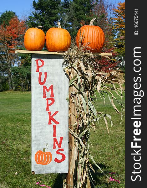 Orange pumpkins on top of pumpkin sign. Orange pumpkins on top of pumpkin sign