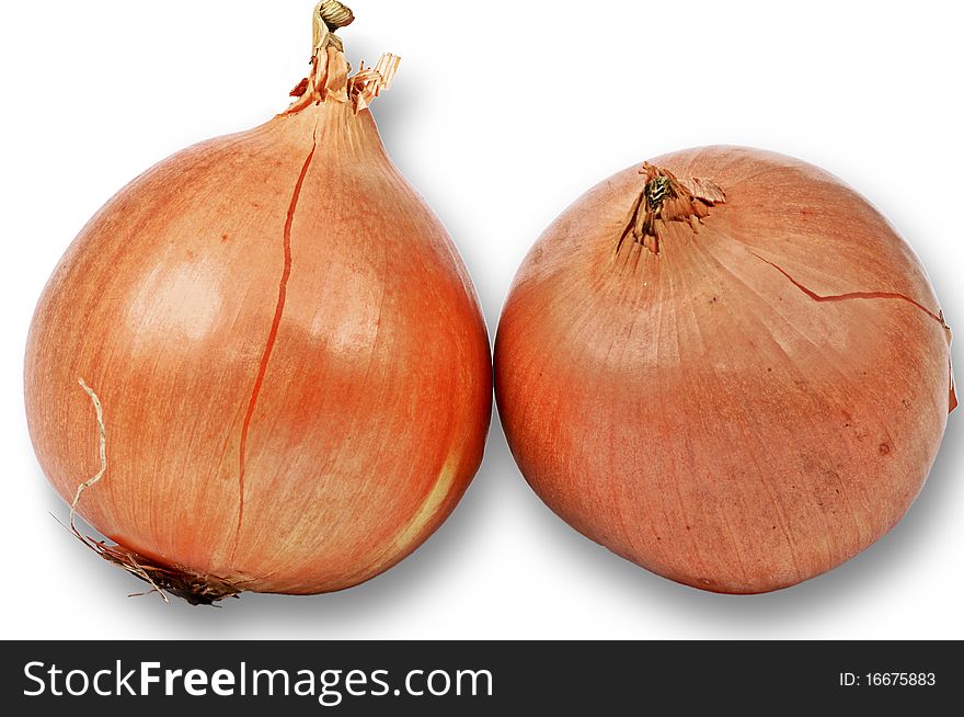 Couple of onions isolated over white background