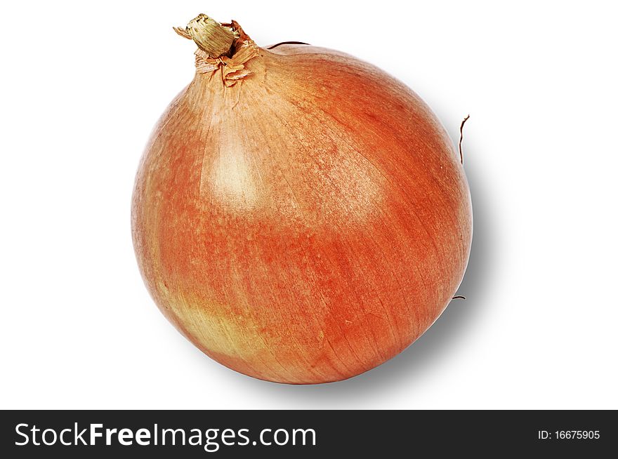 Gold fresh onion isolated over white background