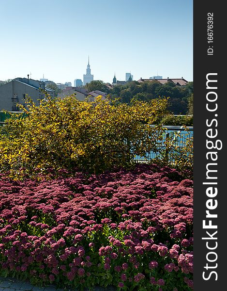 Panorama of Warsaw City with flowers and Palace of Culture, Poland. Panorama of Warsaw City with flowers and Palace of Culture, Poland