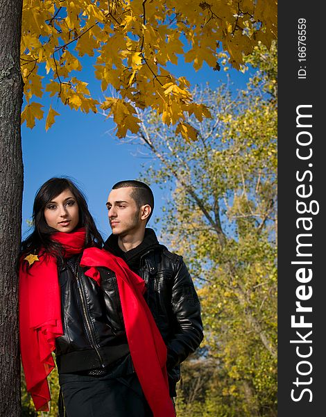 Young romance cople in fall forest. Young romance cople in fall forest