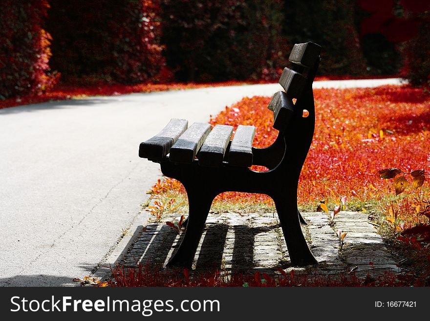 Bench in the park on sunny day. Bench in the park on sunny day