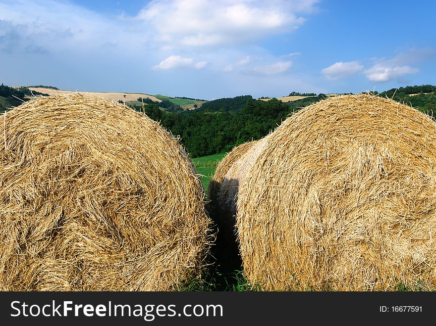 Bales of hay in the Italian campaign. Bales of hay in the Italian campaign