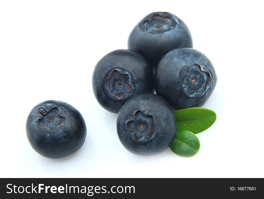 Ripe bilberry with leaves on a white background