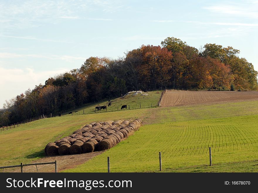 Farm Land And Blue Sky