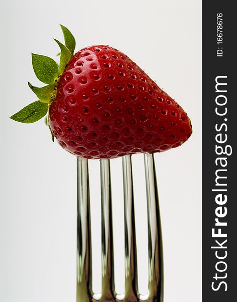 Strawberries skewered with a fork. Strawberries skewered with a fork