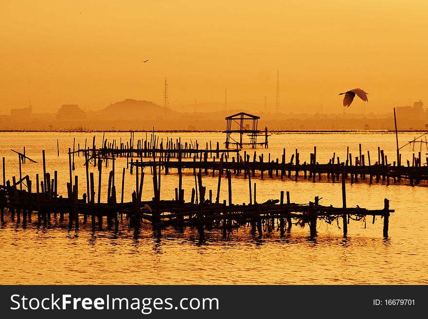 The rows of fishing over the sunrise.