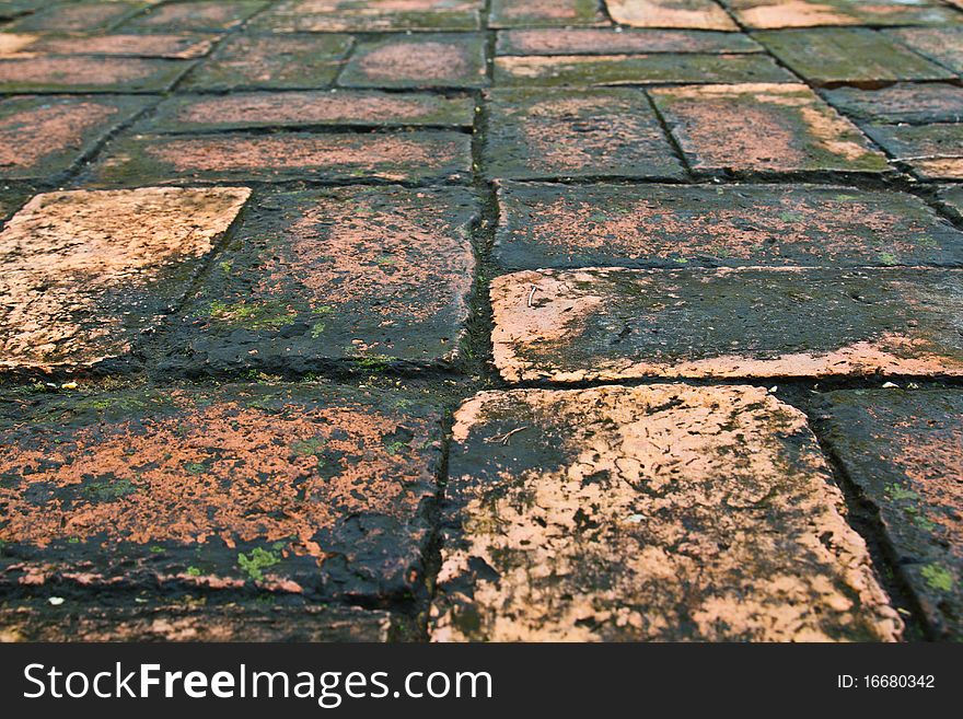 The green and black moss grow and cover old bricks.