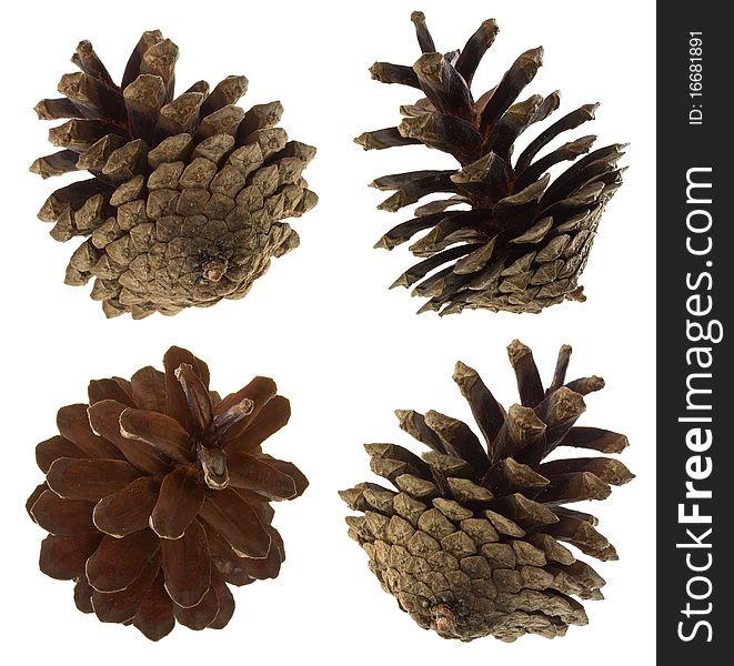 Close-up pine cones set, isolated on white