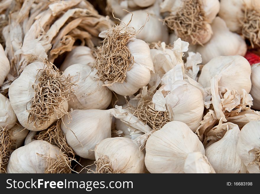 Close up view of garlic