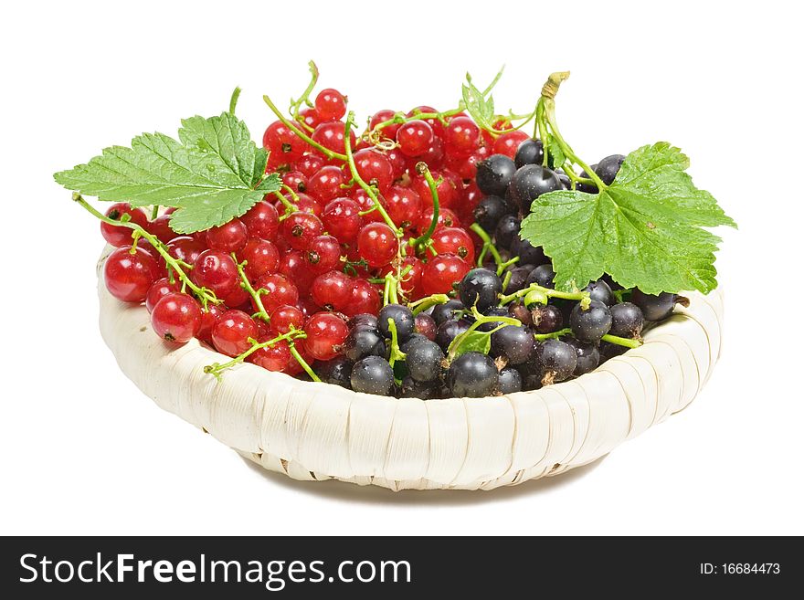 Black and red currants in a wicker basket on a white background