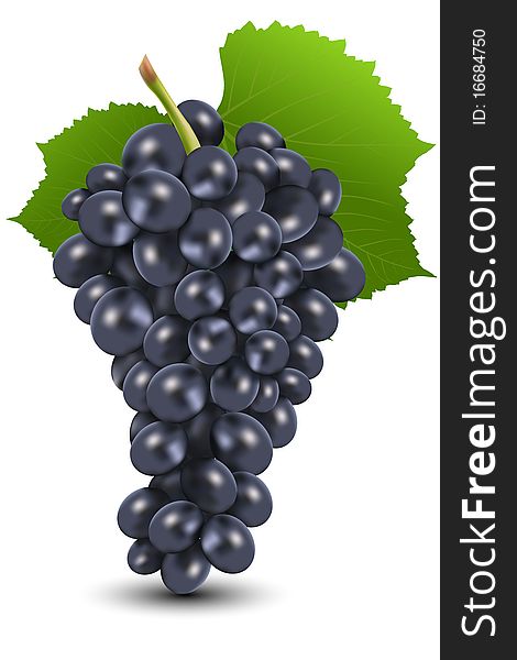 Bunch Of Black Grapes