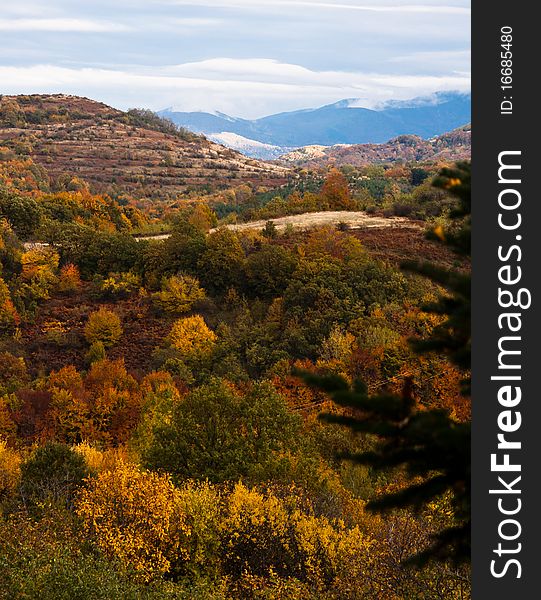 Mountain landscape. autumn forest in Bulgaria