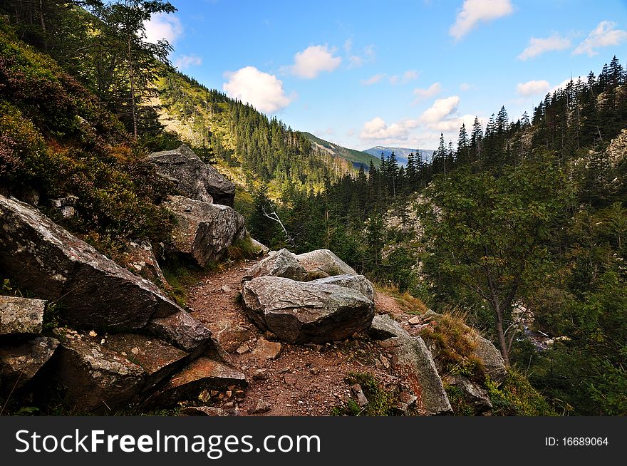 Mountain path in valley in the national park Krkonose