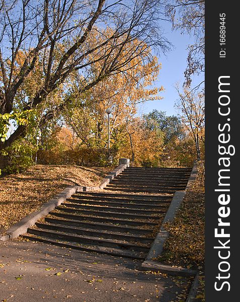 Stairs in a park in the fall. Falling leaves cover the ground. Against the blue sky. Autumn landscape